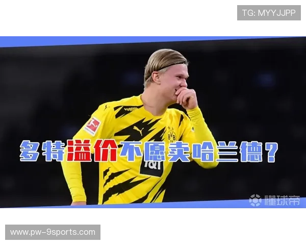 多特蒙德哈兰德：关键表现引领全队节奏的足球奇迹