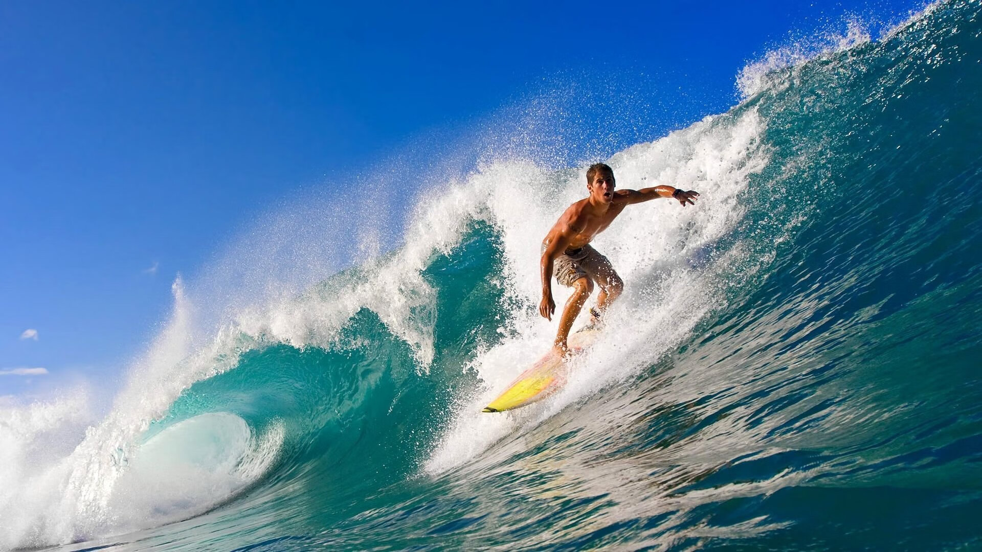 教练团队集体学习国际案例提升教学理念，教练技术应用的案例